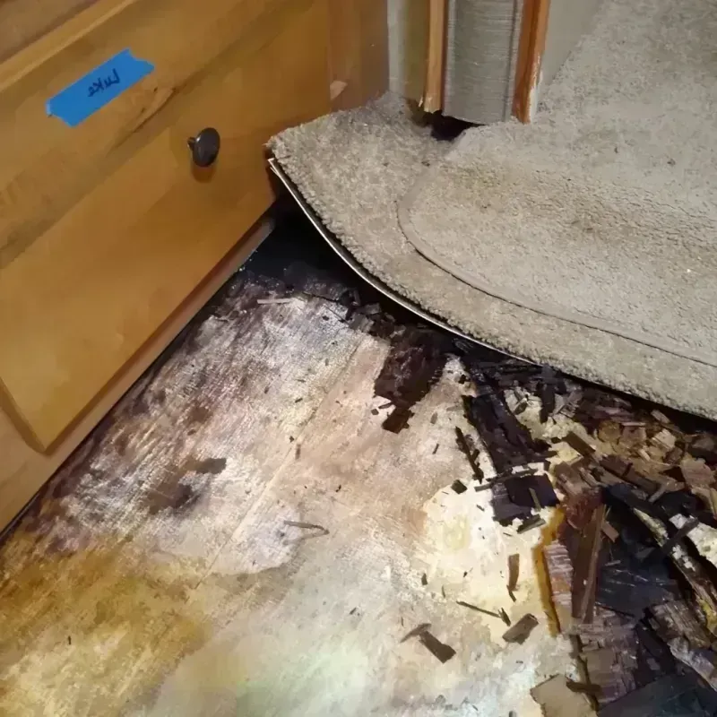 Wood Floor Water Damage in Monument, CO